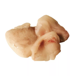 Thịt Má Cá Mặt Quỷ - Palamos