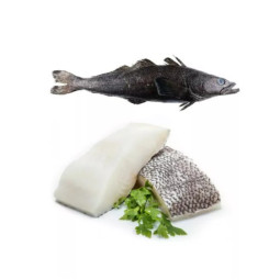 Patagonian Toothfish Fillet Portions (150gr) - Terre D'azur