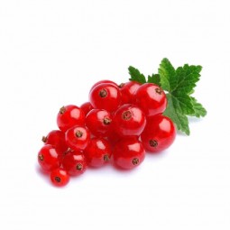 Redcurrant In Bunch Frz Iqf (125G) - Ponthier