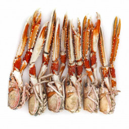 Langoustine Heads And Claws Bulk Frozen (4kg) - Cinq Degrés Ouest