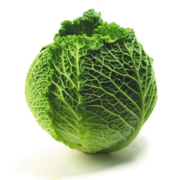 Savoy Cabbage - Kojavm