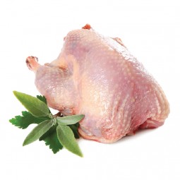 Pigeon Oven Ready Frozen (~500g)