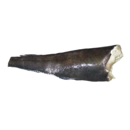 Cá răng cưa - Whole Toothfish Gutted Head Off Frz (5-8Kg) - Sapmer
