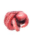 Common Boiled Octopus Frz (~1Kg) - Sanriku